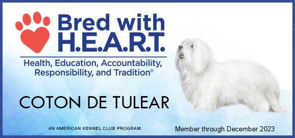 AKC Breeder Of Merit Program – American Kennel Club