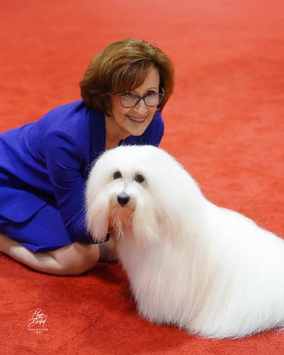 AKC National Championship Dog Show 2025 Excitement